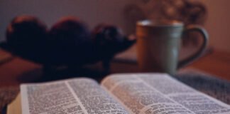 Blood of Extraction: Canadian Imperialism in Latin America