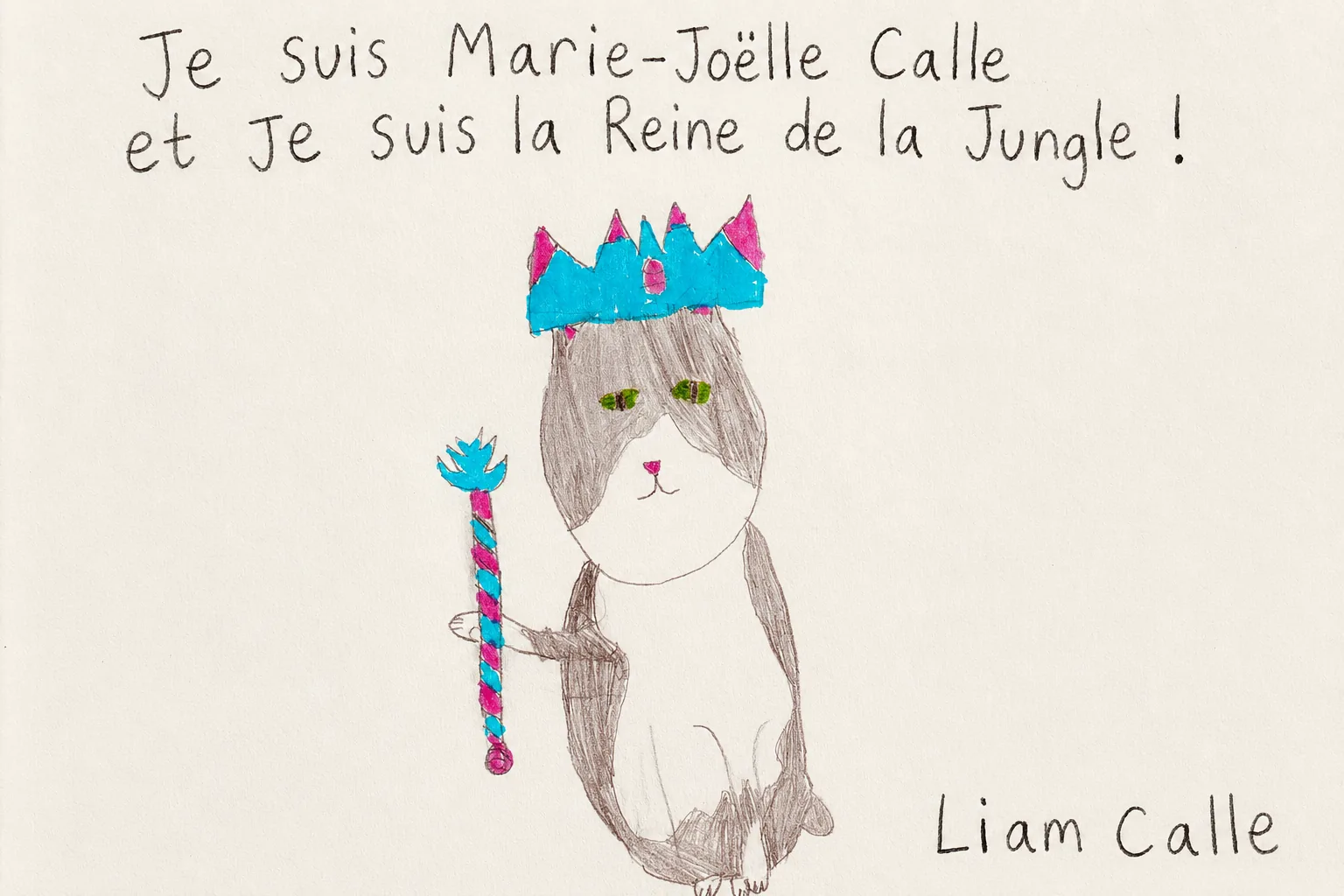 Dessin original de Marie-Joëlle réalisé par Liam Calle